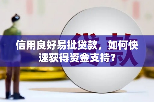 沈河信用良好易批贷款，如何快速获得资金支持？