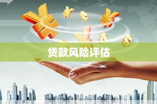 沈河贷款风险评估