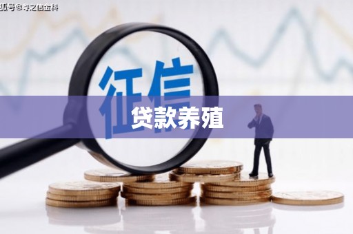 沈河贷款养殖