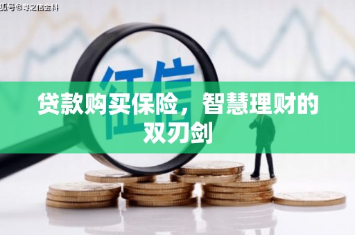沈河贷款购买保险，智慧理财的双刃剑