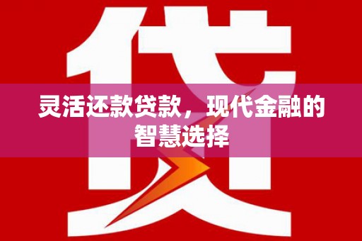 沈河灵活还款贷款，现代金融的智慧选择