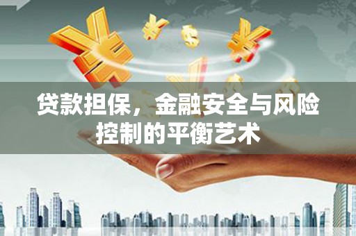 沈河贷款担保，金融安全与风险控制的平衡艺术