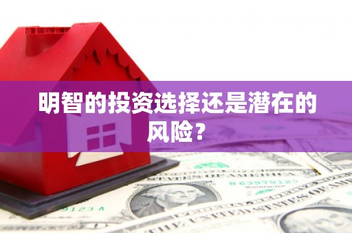 沈河明智的投资选择还是潜在的风险？
