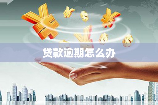 沈河贷款逾期怎么办