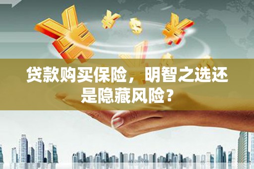 沈河贷款购买保险，明智之选还是隐藏风险？
