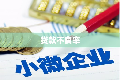 沈河贷款不良率