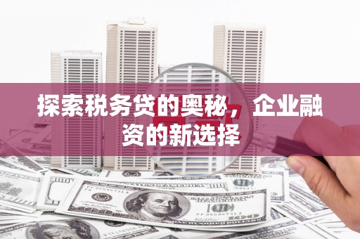 沈河探索税务贷的奥秘，企业融资的新选择