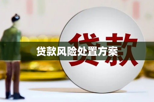 沈河贷款风险处置方案