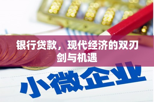 沈河银行贷款，现代经济的双刃剑与机遇