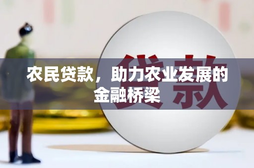 沈河农民贷款，助力农业发展的金融桥梁