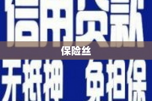 沈河保险丝