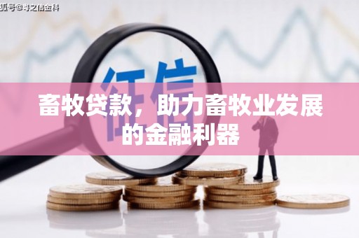 沈河畜牧贷款，助力畜牧业发展的金融利器