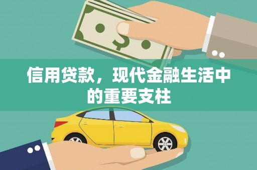沈河信用贷款，现代金融生活中的重要支柱