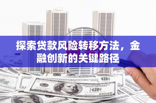 沈河探索贷款风险转移方法，金融创新的关键路径