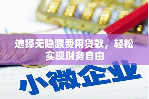 沈河选择无隐藏费用贷款，轻松实现财务自由