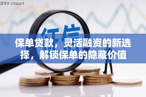 沈河保单贷款，灵活融资的新选择，解锁保单的隐藏价值