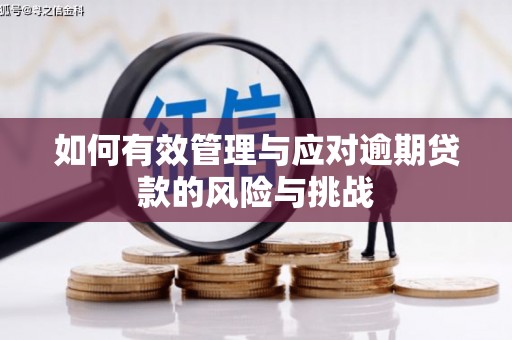 沈河如何有效管理与应对逾期贷款的风险与挑战