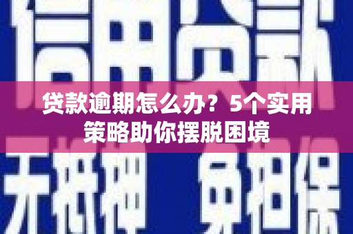 沈河贷款逾期怎么办？5个实用策略助你摆脱困境