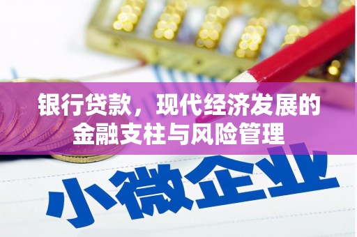 沈河银行贷款，现代经济发展的金融支柱与风险管理