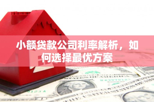 沈河小额贷款公司利率解析，如何选择最优方案
