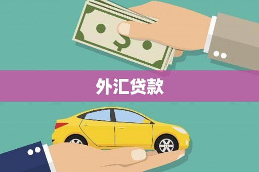 沈河外汇贷款