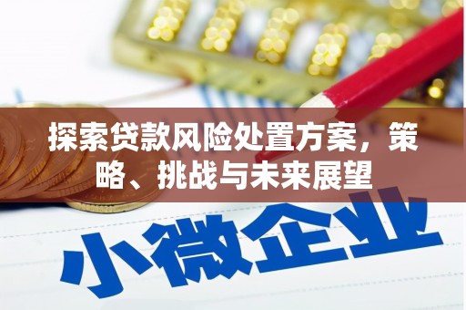 沈河探索贷款风险处置方案，策略、挑战与未来展望
