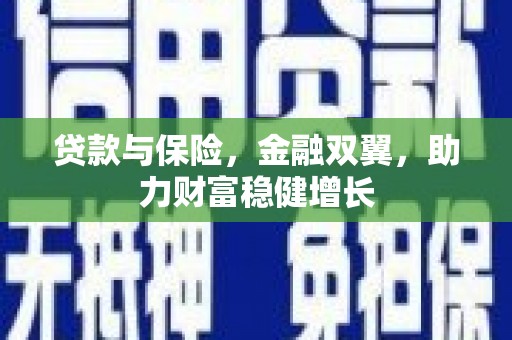 沈河贷款与保险，金融双翼，助力财富稳健增长