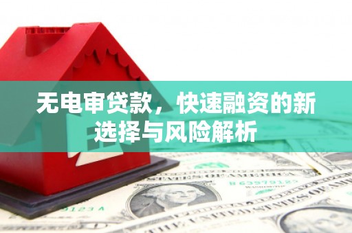 沈河无电审贷款，快速融资的新选择与风险解析
