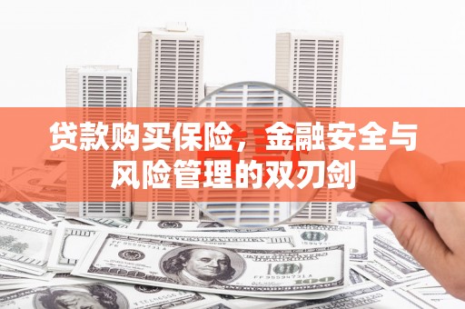沈河贷款购买保险，金融安全与风险管理的双刃剑