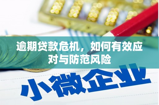 沈河逾期贷款危机，如何有效应对与防范风险