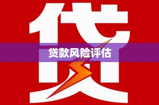 沈河贷款风险评估