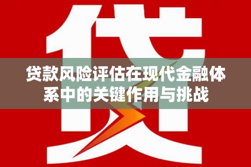 沈河贷款风险评估在现代金融体系中的关键作用与挑战