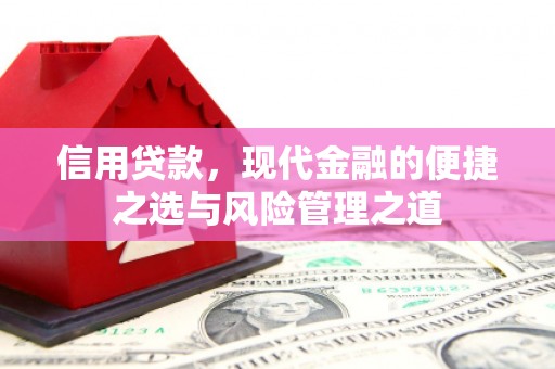 沈河信用贷款，现代金融的便捷之选与风险管理之道