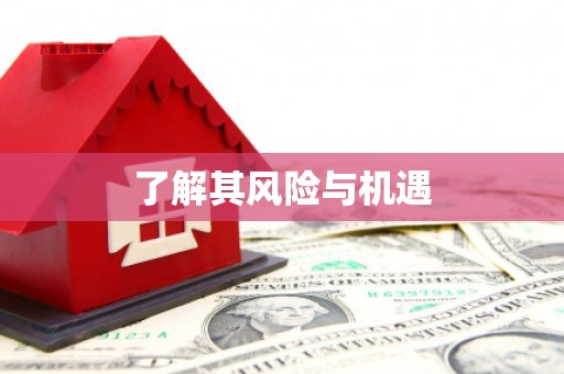 沈河了解其风险与机遇