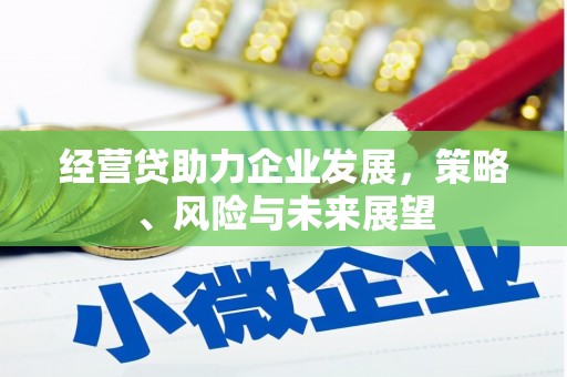 沈河经营贷助力企业发展，策略、风险与未来展望