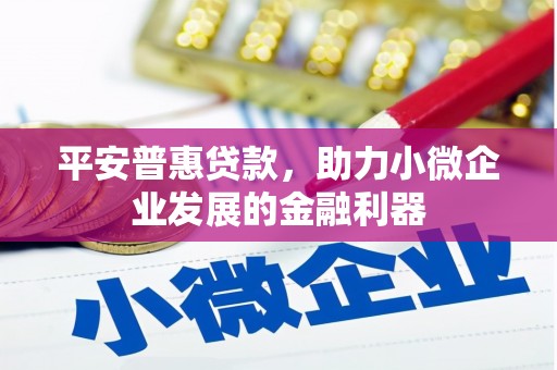 沈河平安普惠贷款，助力小微企业发展的金融利器