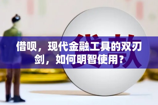 沈河借呗，现代金融工具的双刃剑，如何明智使用？