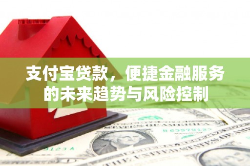 沈河支付宝贷款，便捷金融服务的未来趋势与风险控制