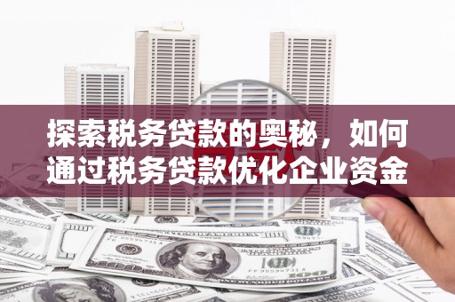 沈河探索税务贷款的奥秘，如何通过税务贷款优化企业资金流