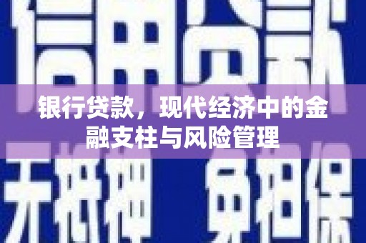 沈河银行贷款，现代经济中的金融支柱与风险管理