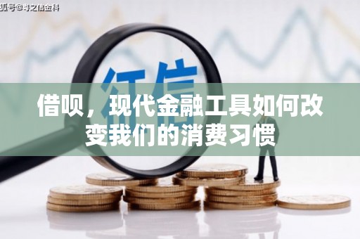 沈河借呗，现代金融工具如何改变我们的消费习惯