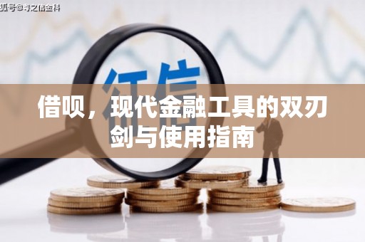 沈河借呗，现代金融工具的双刃剑与使用指南
