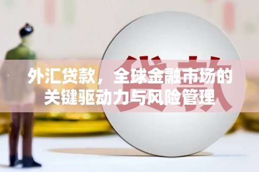 沈河外汇贷款，全球金融市场的关键驱动力与风险管理