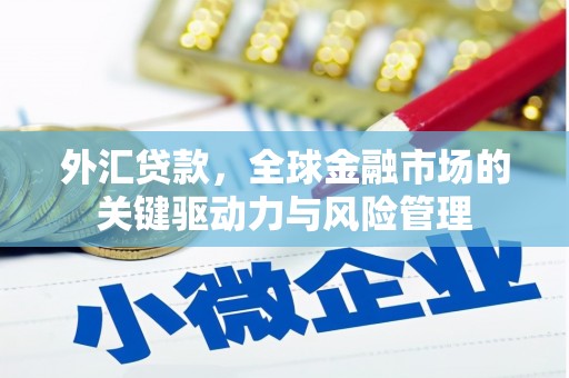 沈河外汇贷款，全球金融市场的关键驱动力与风险管理