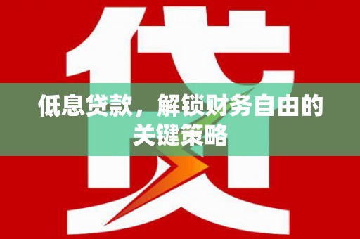 沈河低息贷款，解锁财务自由的关键策略
