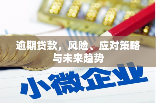 沈河逾期贷款，风险、应对策略与未来趋势