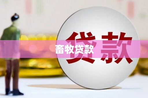 沈河畜牧贷款