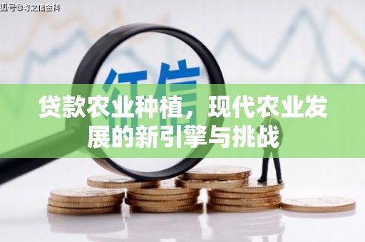 沈河贷款农业种植，现代农业发展的新引擎与挑战