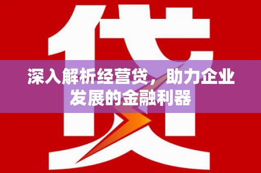 沈河深入解析经营贷，助力企业发展的金融利器