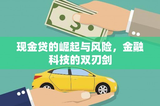 沈河现金贷的崛起与风险，金融科技的双刃剑